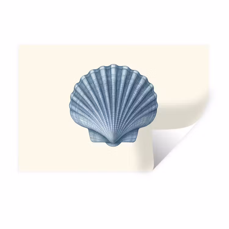 Muursticker - Ribbels - Blauw - Schelp — 1
