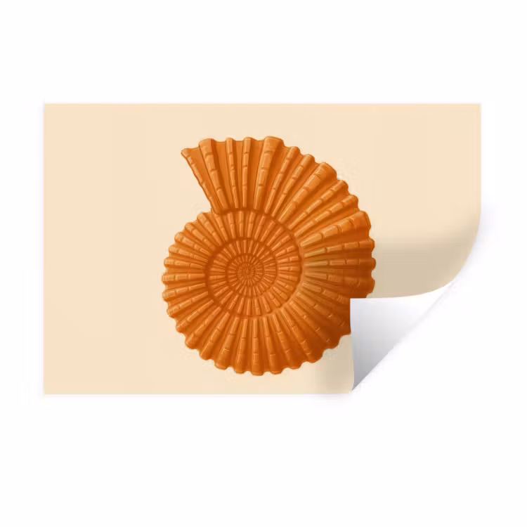 Muursticker - Schelp - Oranje - Ribbels — 1