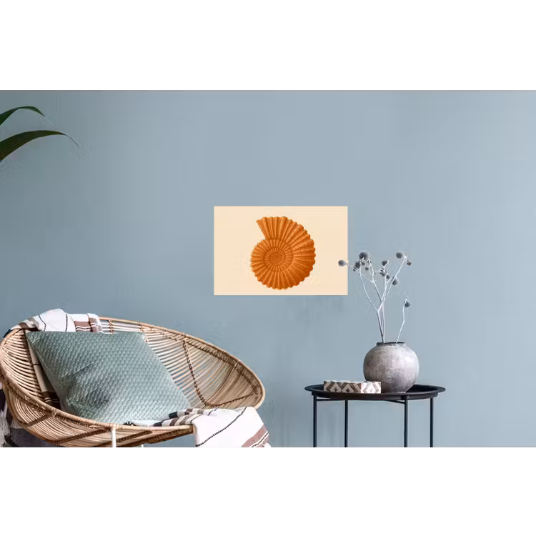 Muursticker - Schelp - Oranje - Ribbels — 4