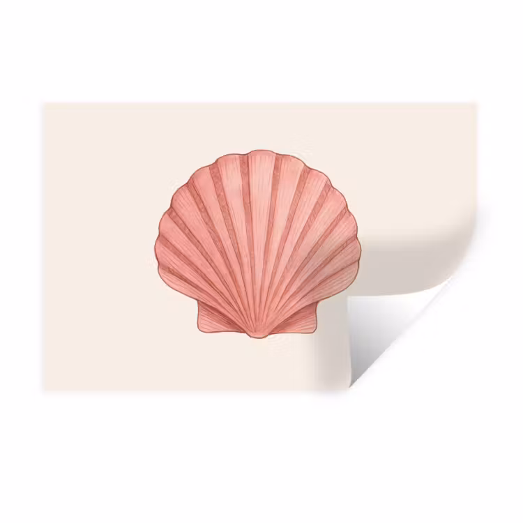 Muursticker - Schelp - Roze - Ribbels — 1