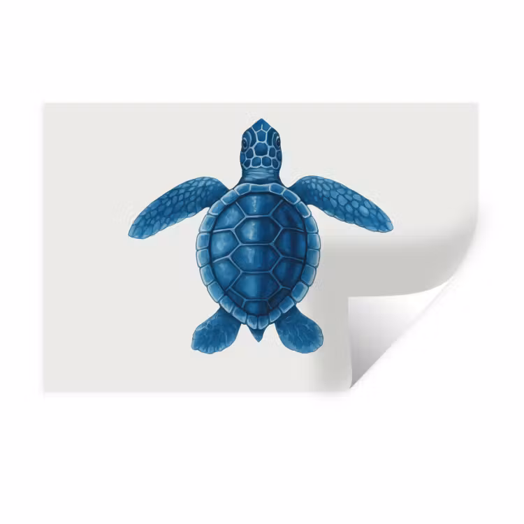 Muursticker - Schildpad - Blauw - Schild — 1
