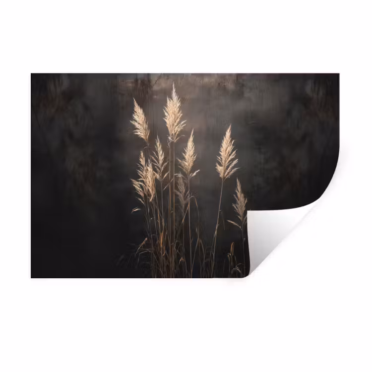 Muursticker - Siergras - Pluimen - Verlichting - Zwart — 1