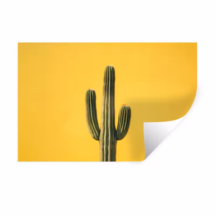 Muursticker - Cactus - Groen - Minimalistisch — 1