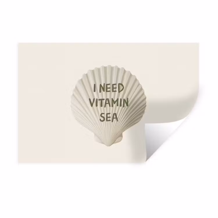 Muursticker - Schelp - Quote - Groen — 1