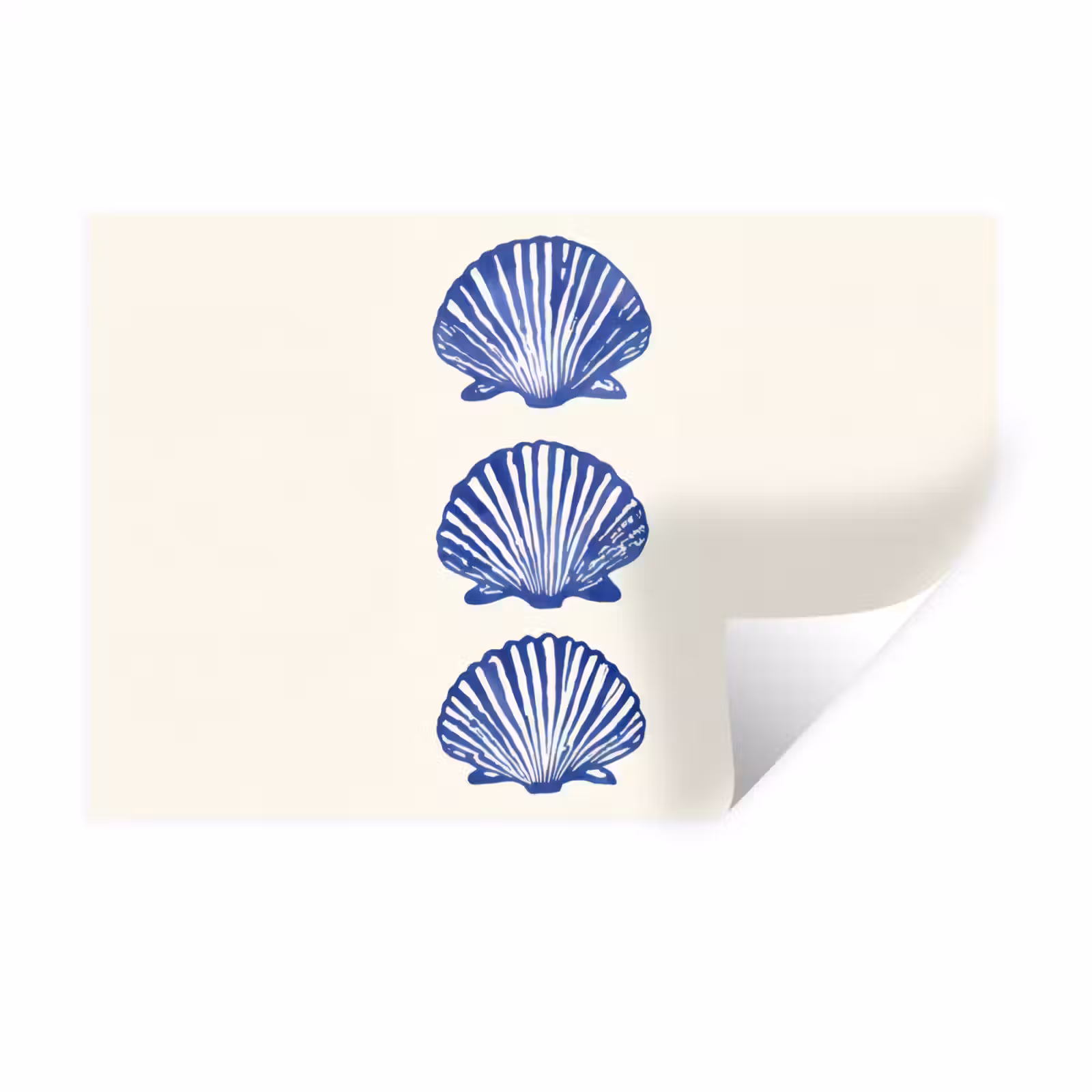 Muursticker - Schelpen - Blauw - Patroon — 1