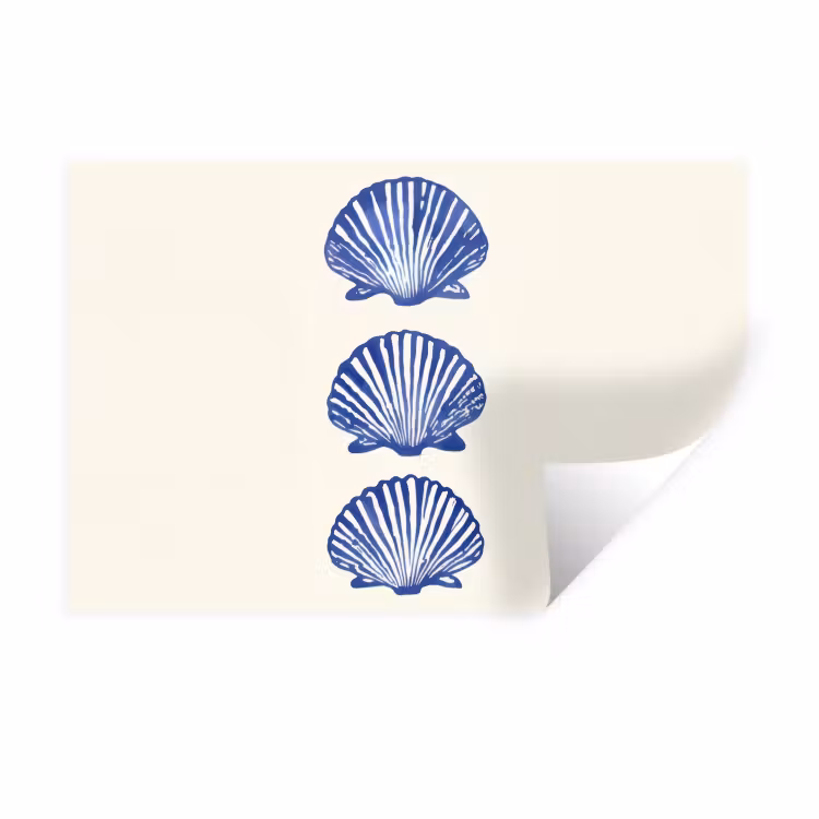 Muursticker - Schelpen - Blauw - Patroon — 1