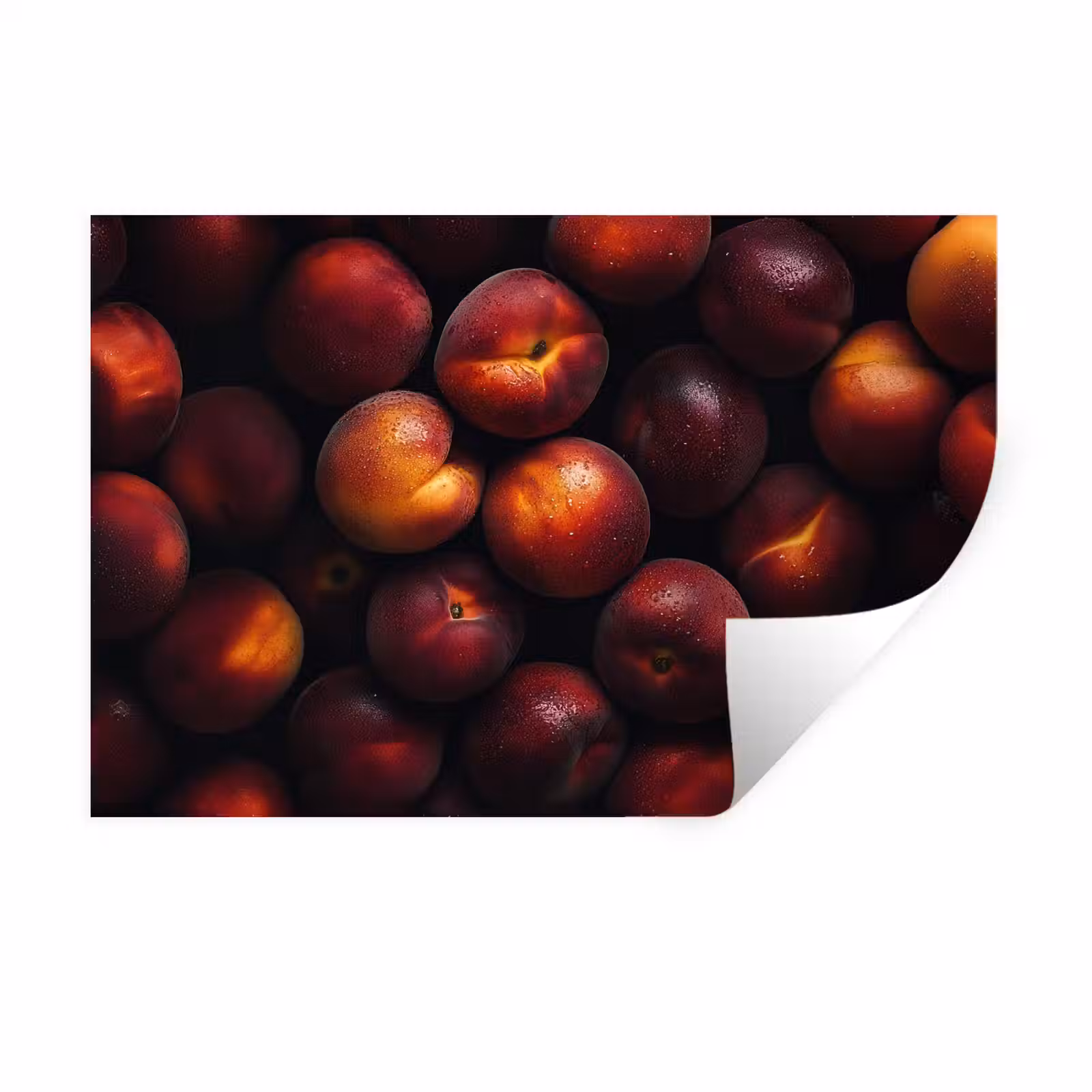 Muursticker - Fruit - Close up - Nectarines — 1