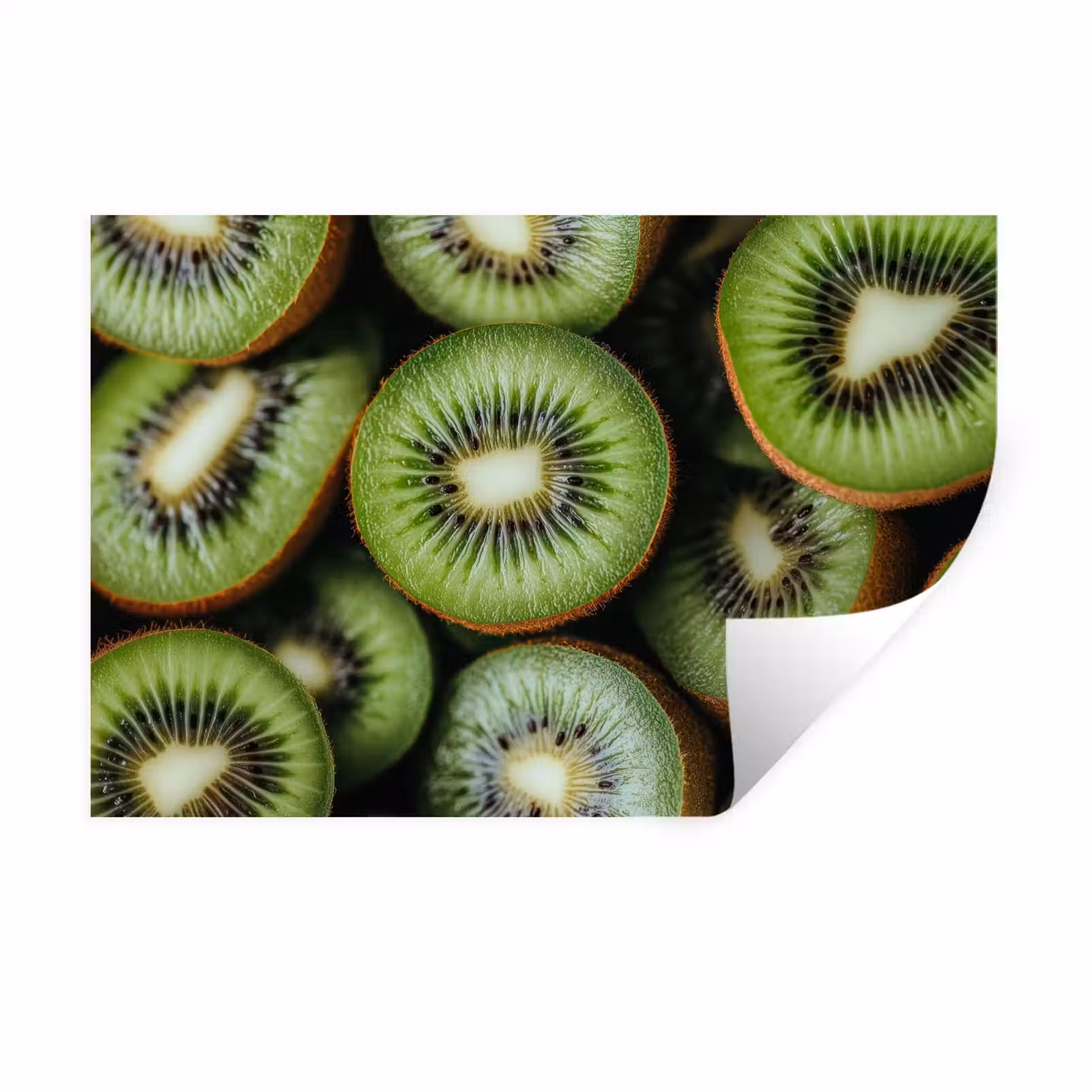 Muursticker - Kiwi - Fruit - Groen — 1