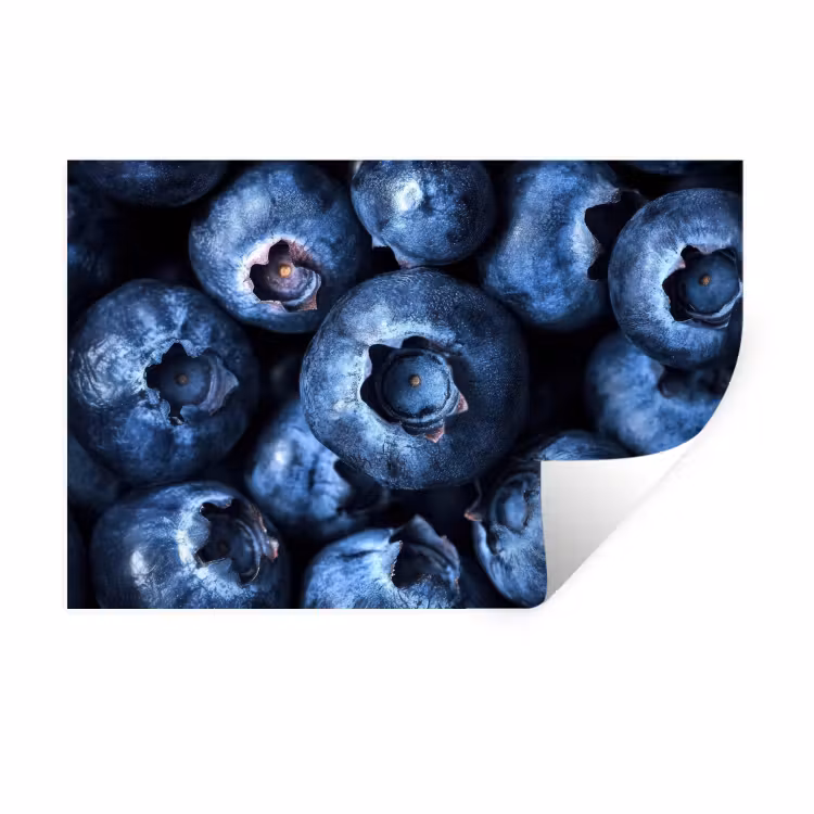Muursticker - Bessen - Blauw - Fruit — 1