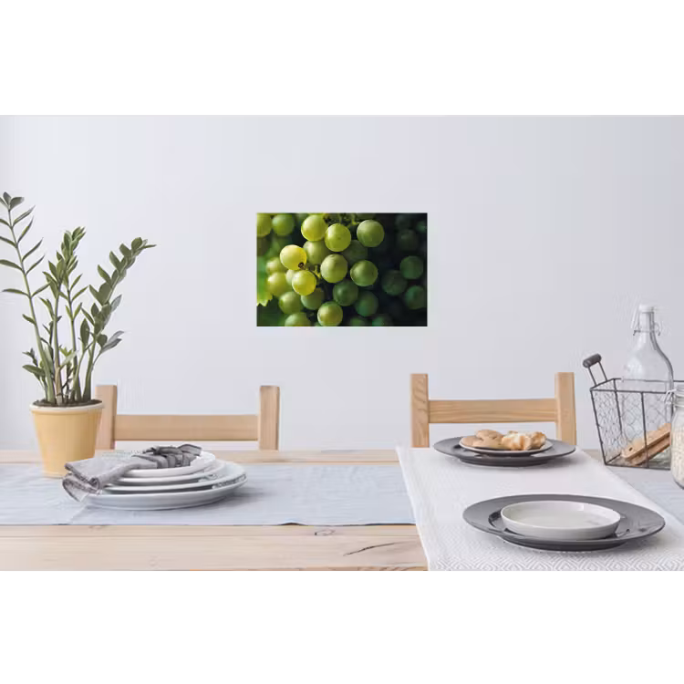 Muursticker - Druiven - Tros - Groen — 3