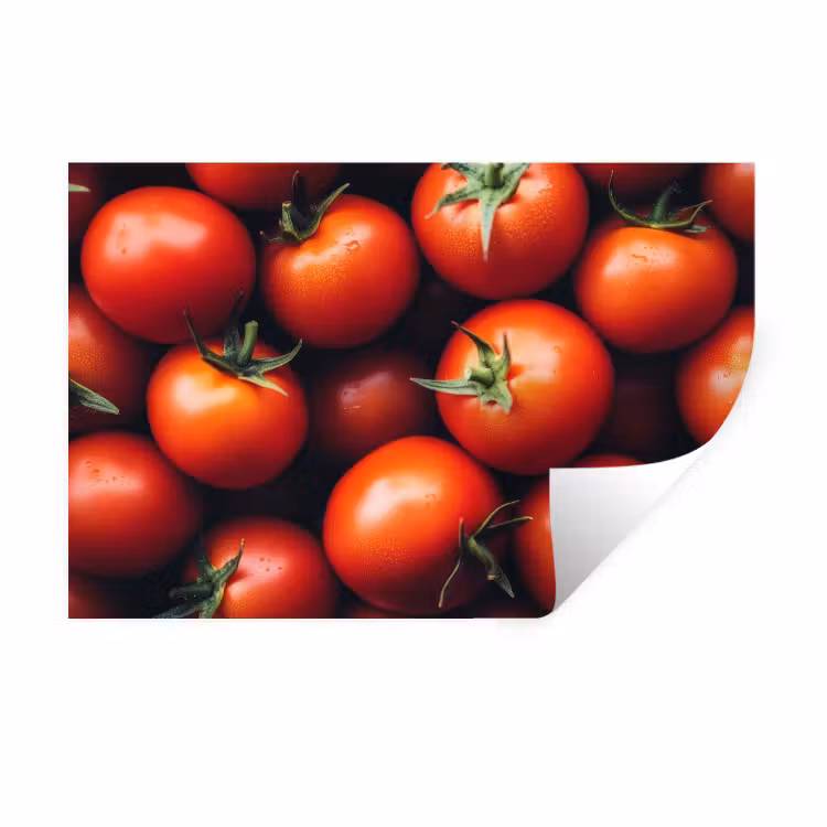 Muursticker - Groente - Rood - Tomaten — 1