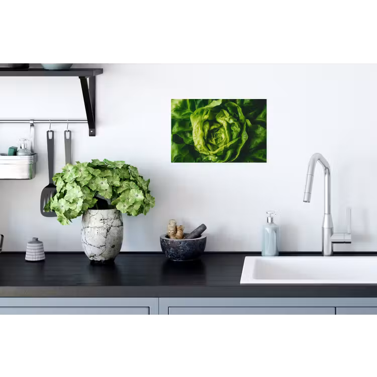 Muursticker - Groente - Sla - Groen — 2