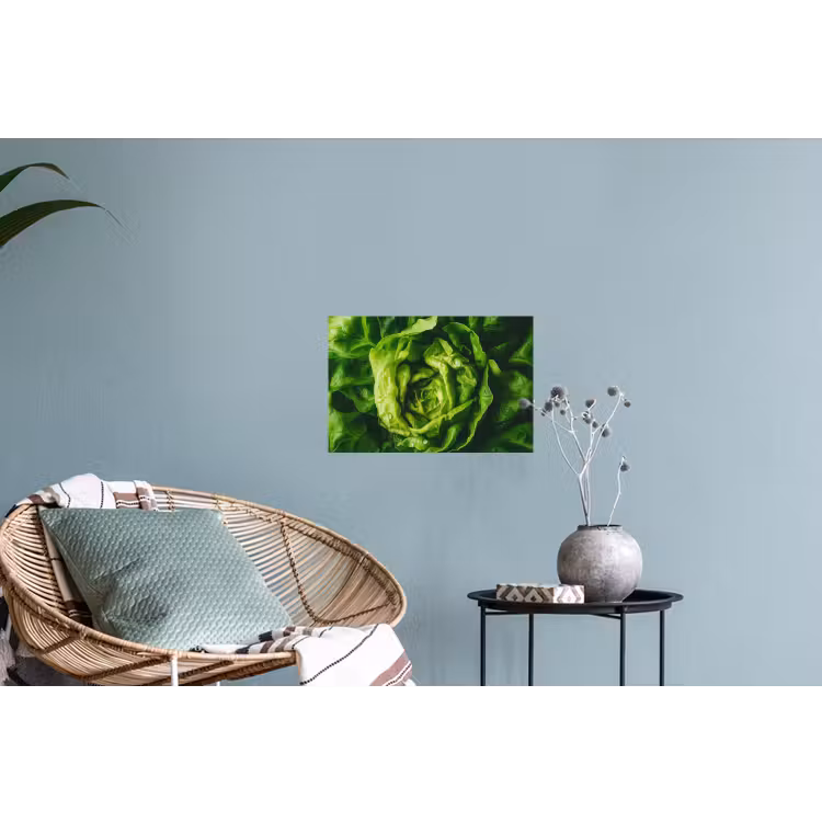 Muursticker - Groente - Sla - Groen — 4