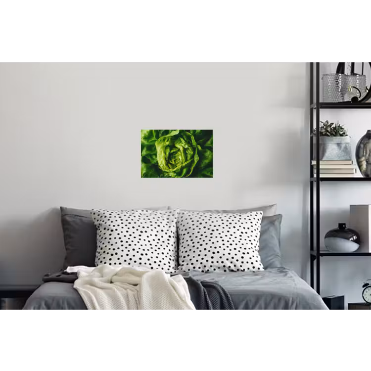 Muursticker - Groente - Sla - Groen — 5