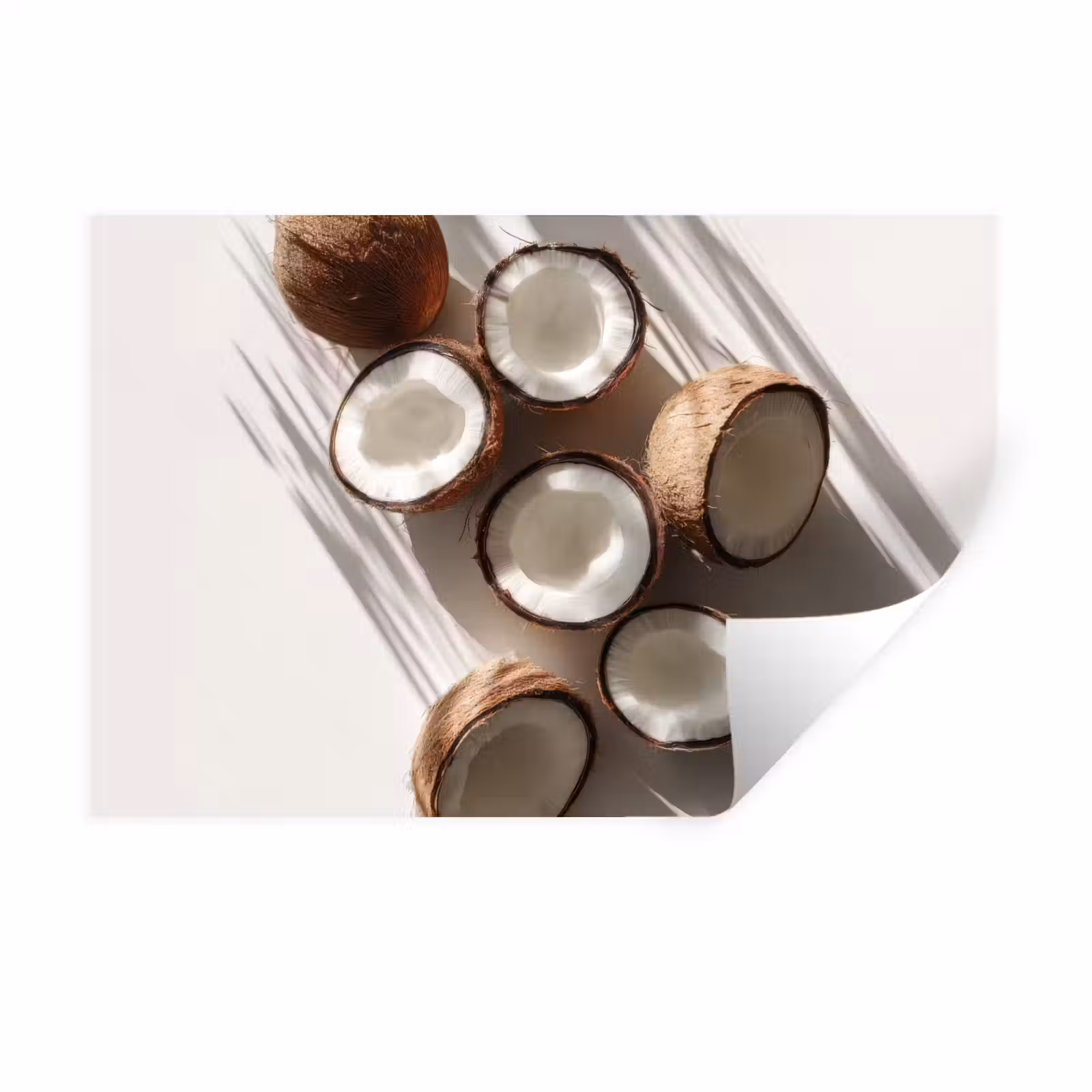 Muursticker - Kokosnoten - Bruin - Shaduw — 1