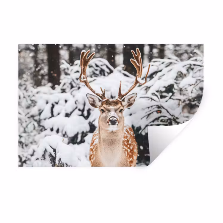 Muursticker - Hert - Sneeuw - Winter - Bos - Dieren — 1