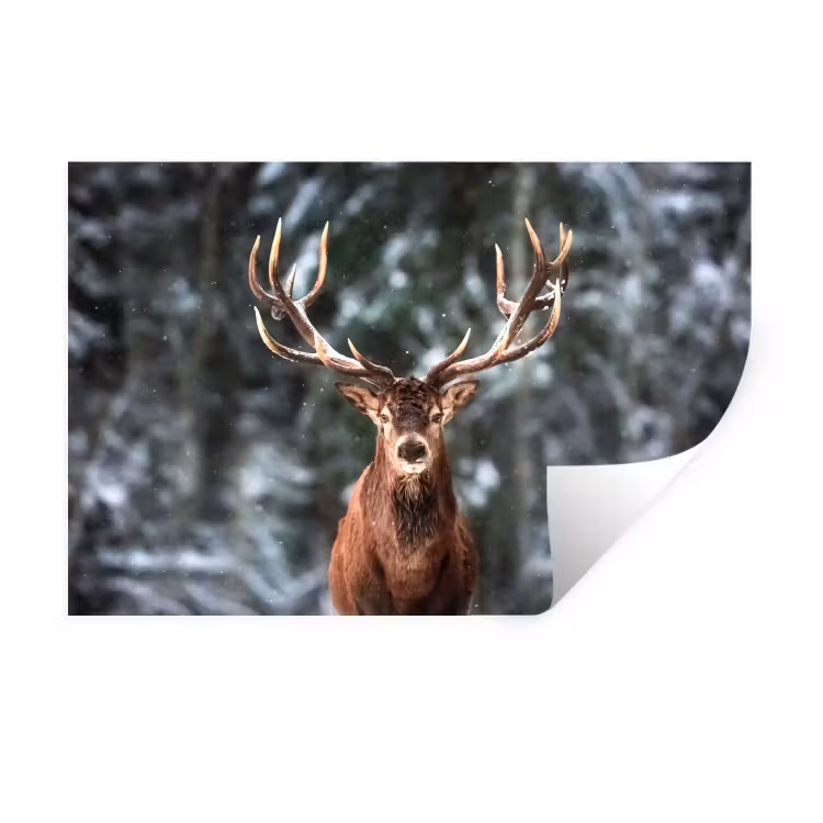 Muursticker - Hert - Winter - Sneeuw - Bos - Natuur - Dier — 1