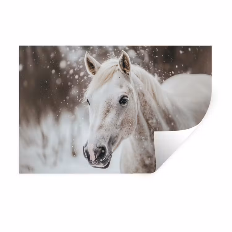 Muursticker - Paard - Wit - Winter - Natuur - Sneeuw - Dieren — 1