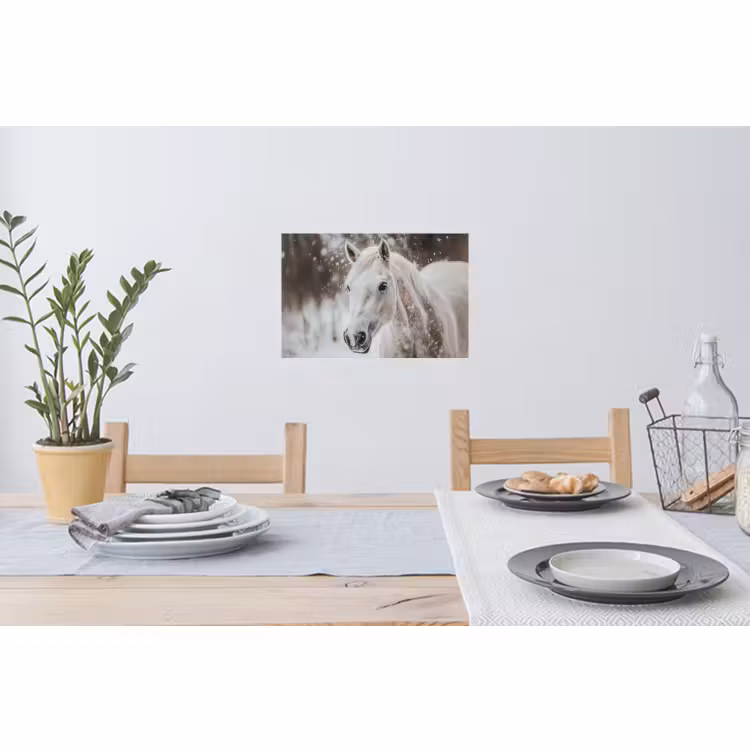 Muursticker - Paard - Wit - Winter - Natuur - Sneeuw - Dieren — 3