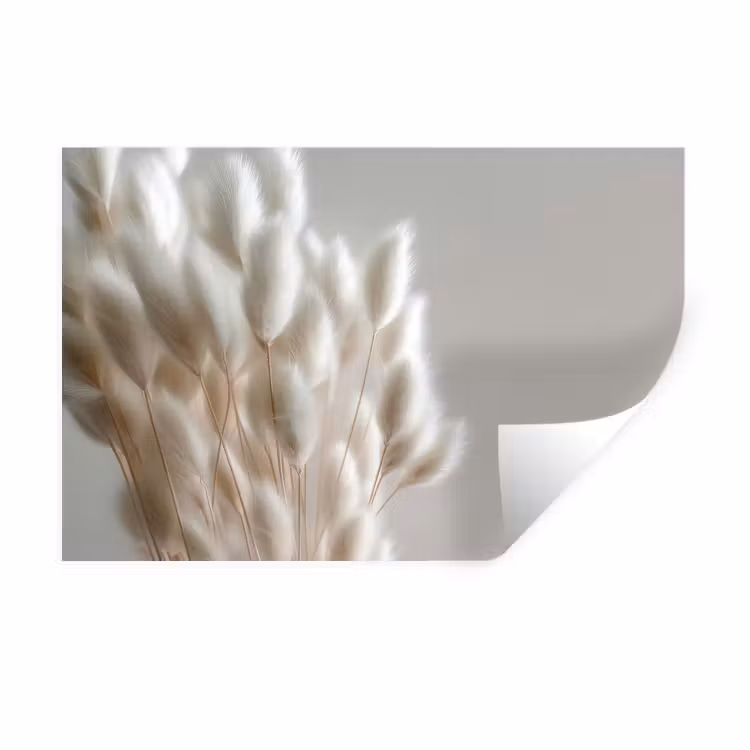 Muursticker - Pluimen - Beige - Minimalistisch — 1