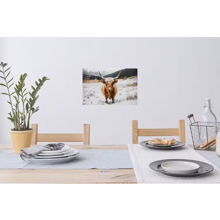 Muursticker - Schotse Hooglander - Sneeuw - Winter - Dieren — 3