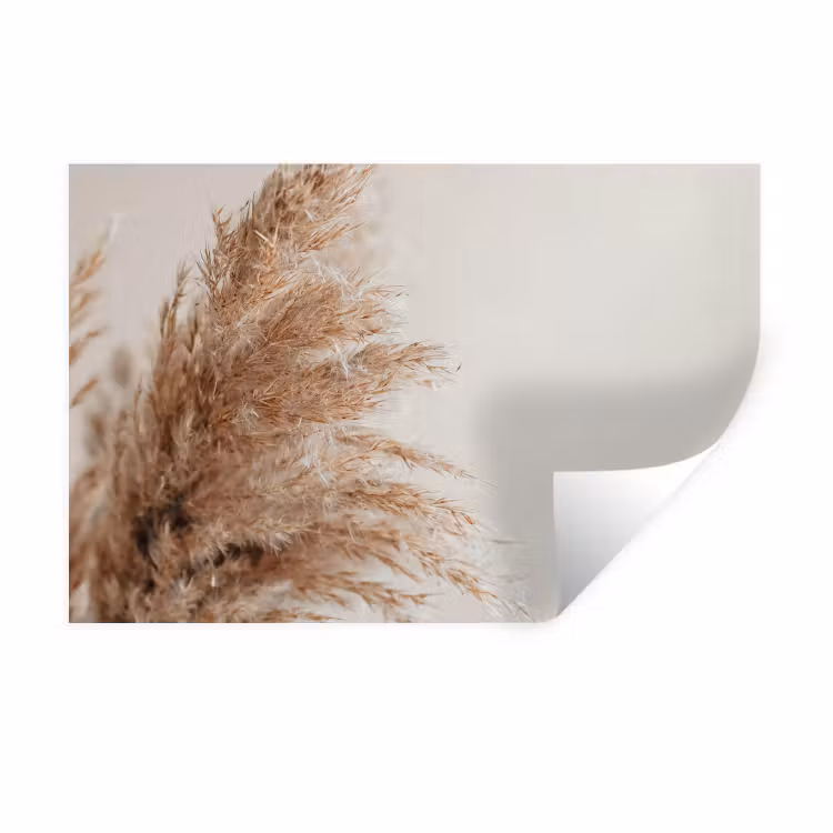 Muursticker - Gras - Planten - Natuur - Pampasgras — 1