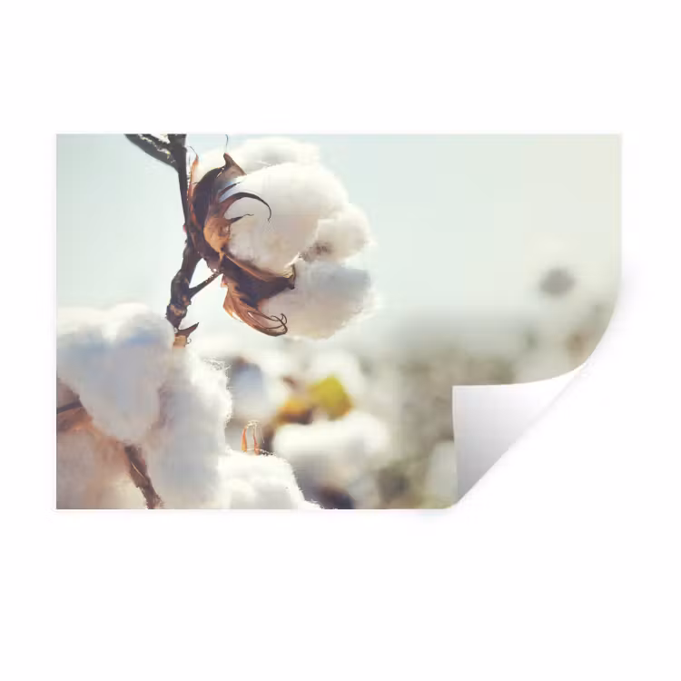 Muursticker - Planten - Bloem - Tak - Natuur — 1