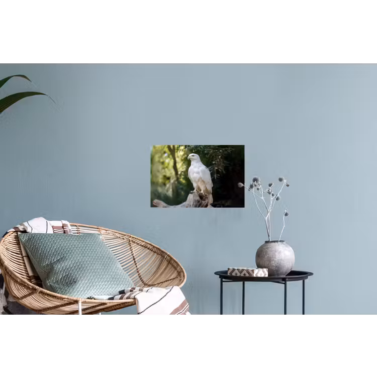 Muursticker - Arend - Hout - Wit - Planten — 4