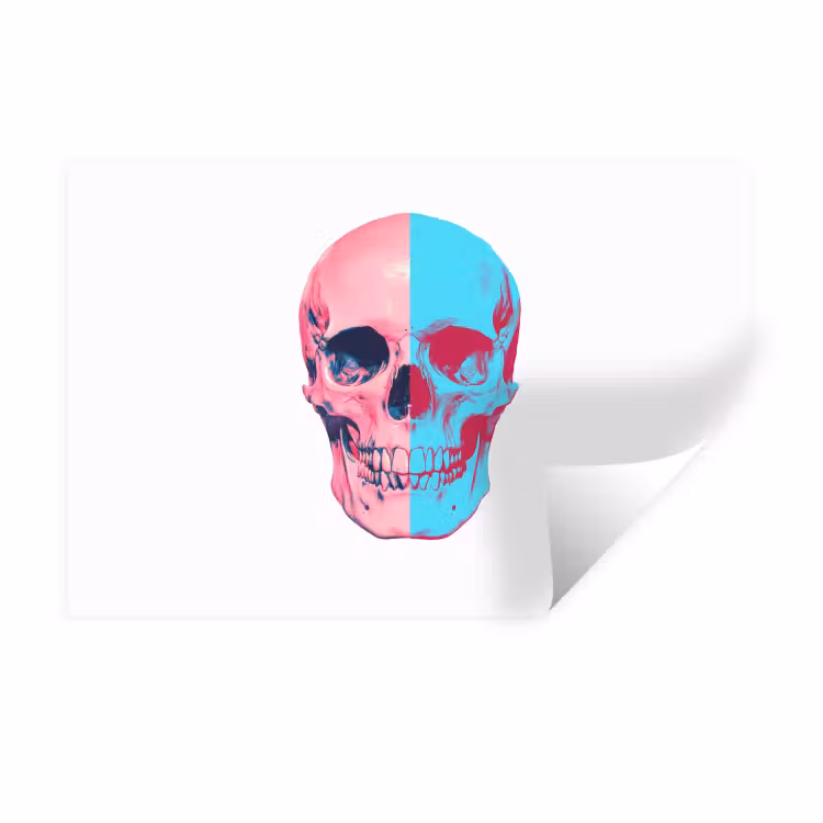 Muursticker - Schedel - Grafisch - Roze - Verdeeld — 1