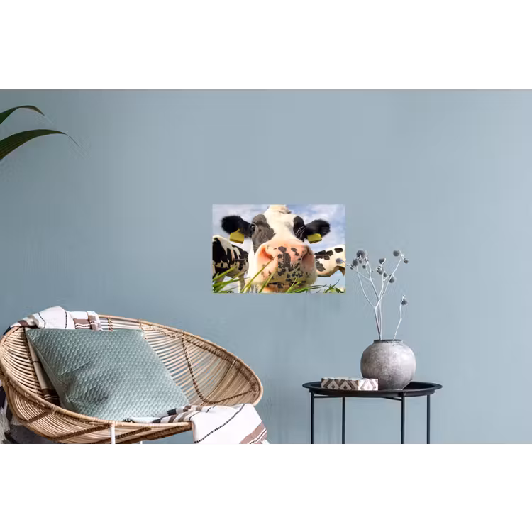 Muursticker - Koe - Boerderij - Gras - Dieren — 4