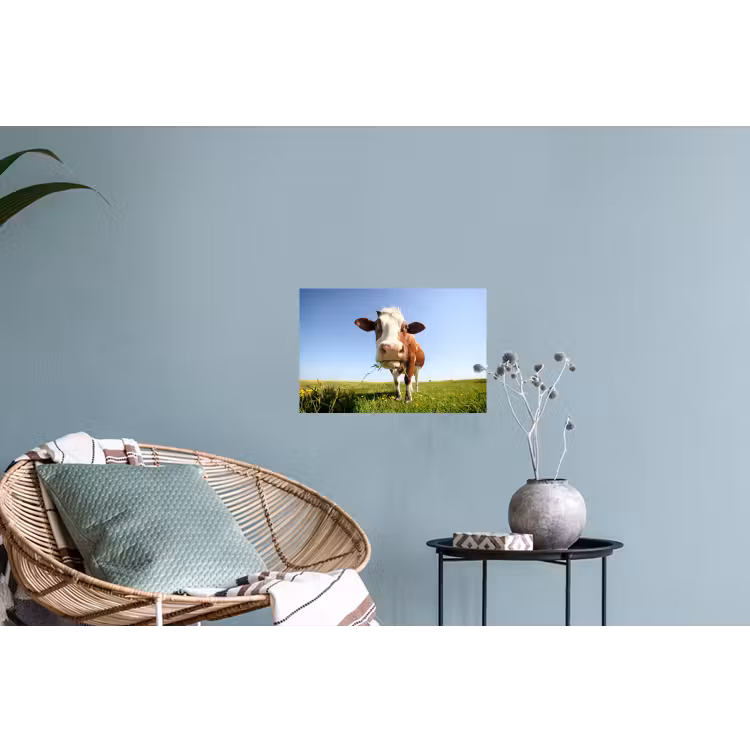 Muursticker - Koe - Dieren - Bloemen - Gras — 4