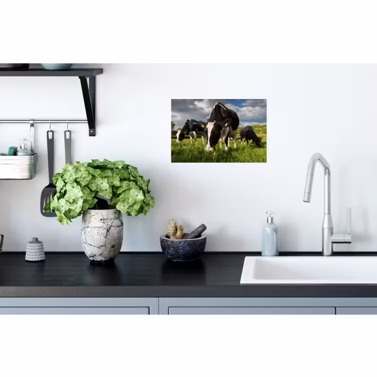 Muursticker - Koeien - Dieren - Gras - Weiland - Boerderij — 2