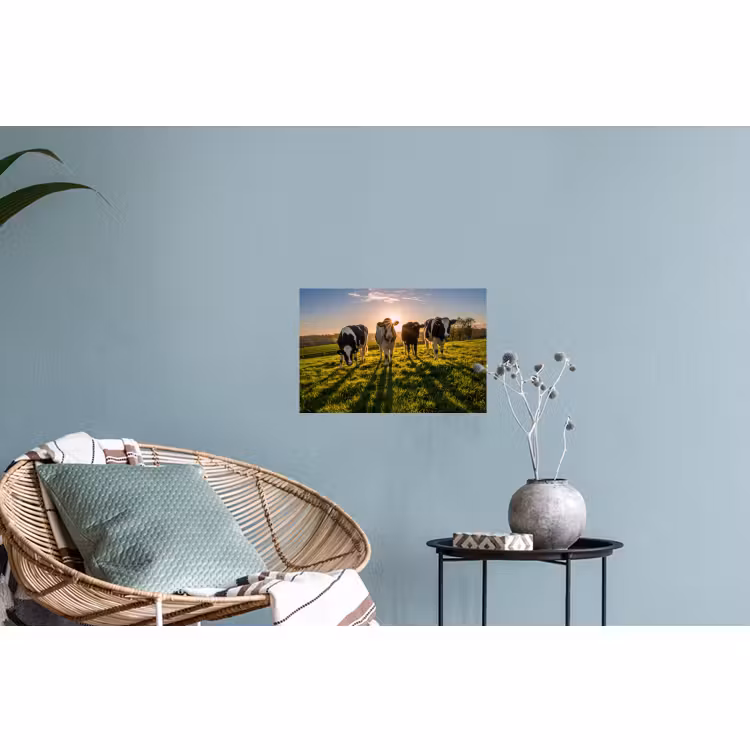 Muursticker - Koeien - Zon - Gras - Dieren - Boerderij — 4
