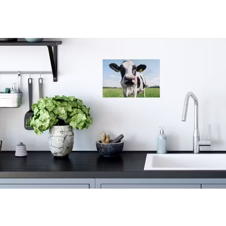 Muursticker - Koe - Weiland - Natuur - Dieren - Gras — 2