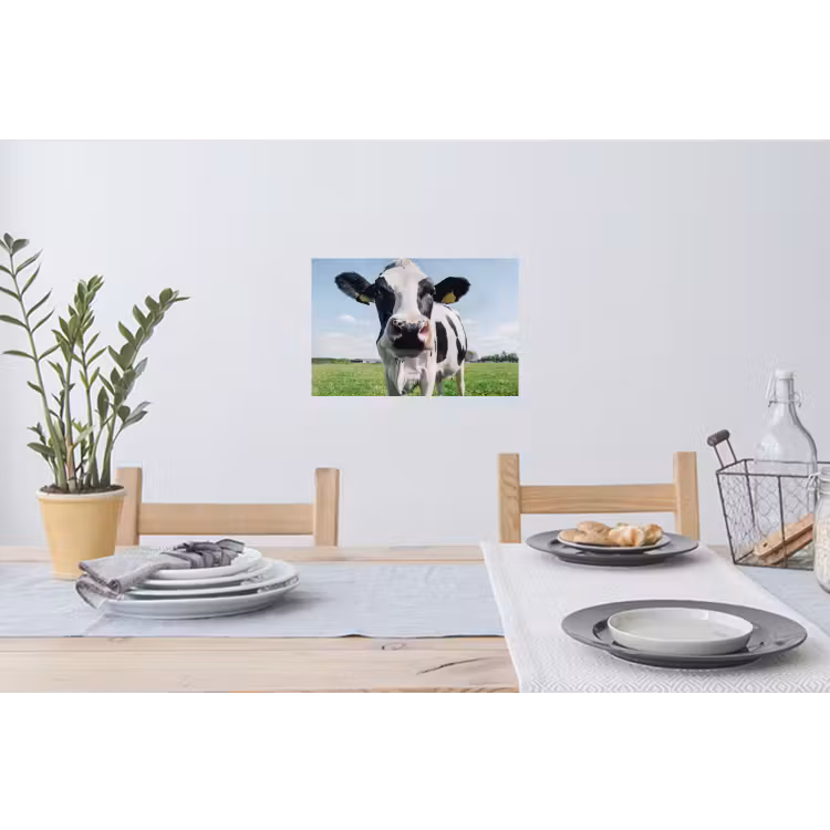 Muursticker - Koe - Weiland - Natuur - Dieren - Gras — 3