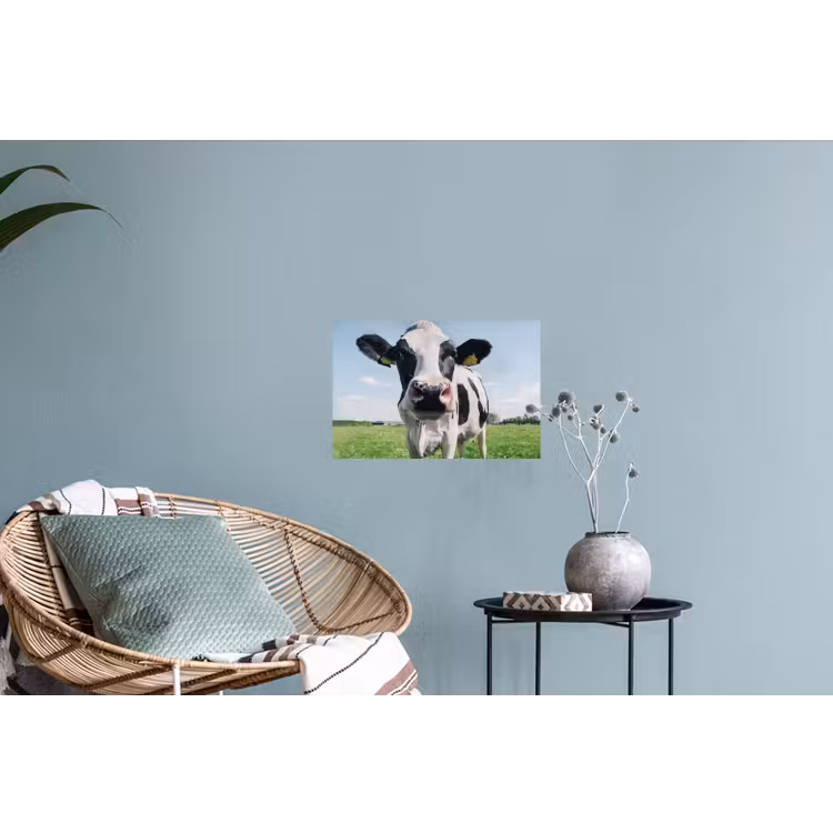 Muursticker - Koe - Weiland - Natuur - Dieren - Gras — 4
