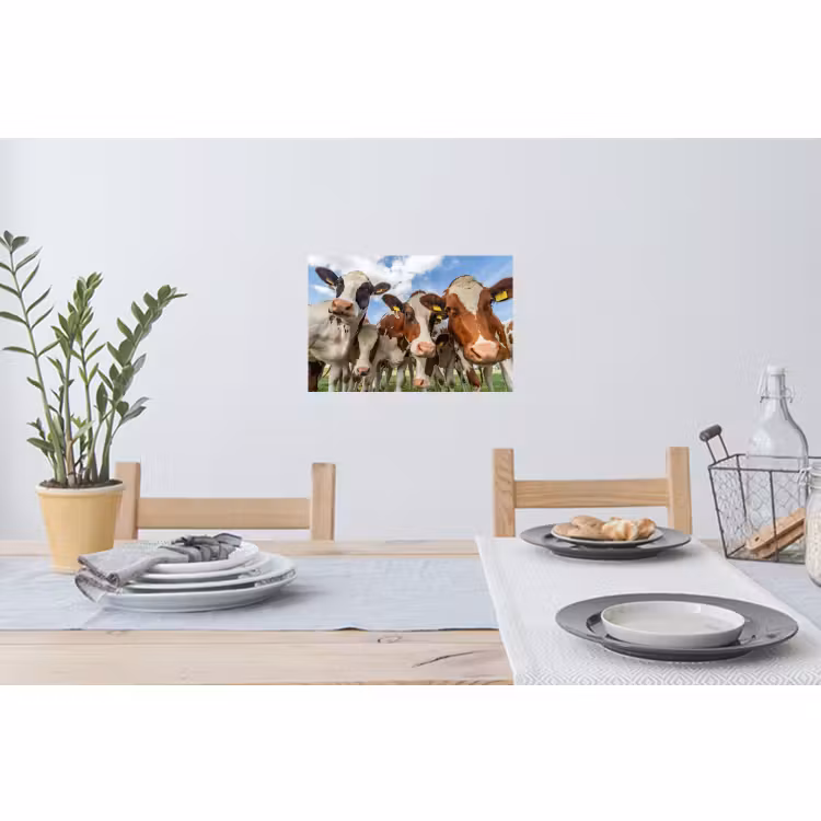 Muursticker - Koeien - Dieren - Weiland - Natuur — 3