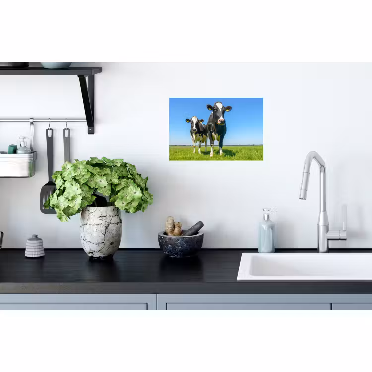 Muursticker - Koeien - Weiland - Gras - Dieren - Boerderij — 2