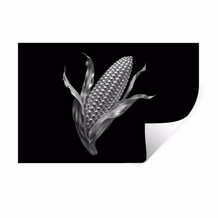 Muursticker - Maïskolf - Glanzend metaal - Elegant — 1