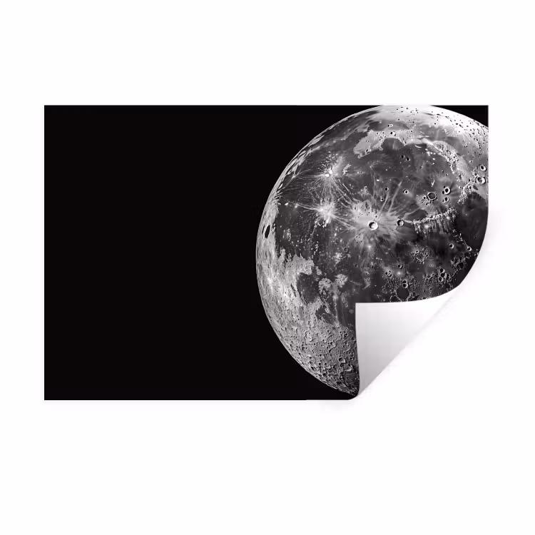 Muursticker - Close-up - Maan - Wit - Textuur — 1