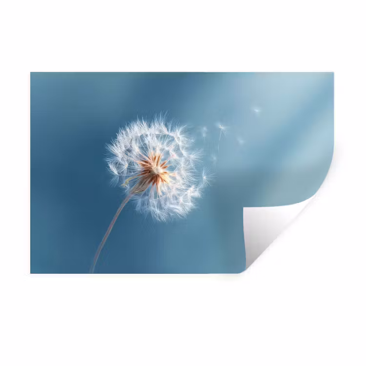 Muursticker - Paardenbloem - Wind - Blauw — 1