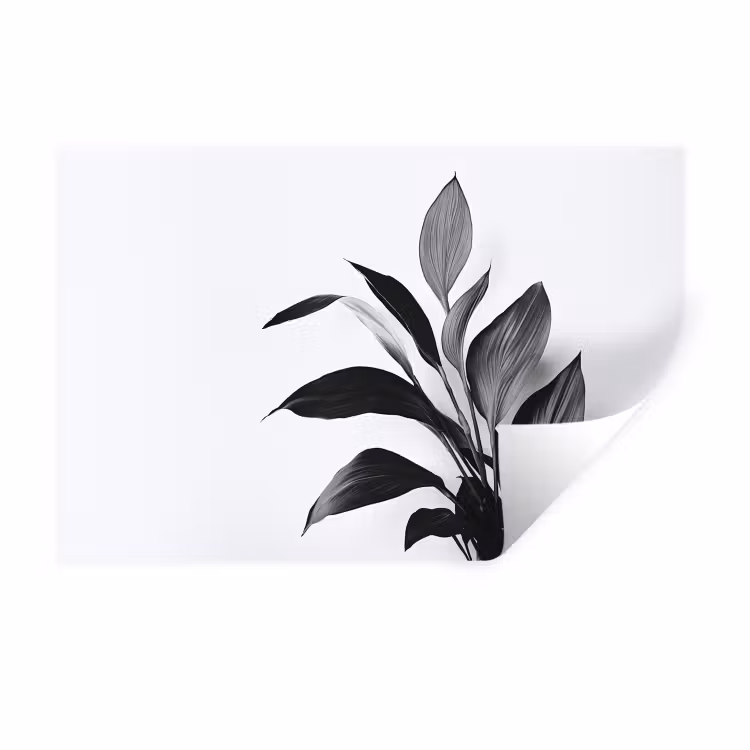 Muursticker - Plant - Bladeren - Minimalistisch - Zwart — 1