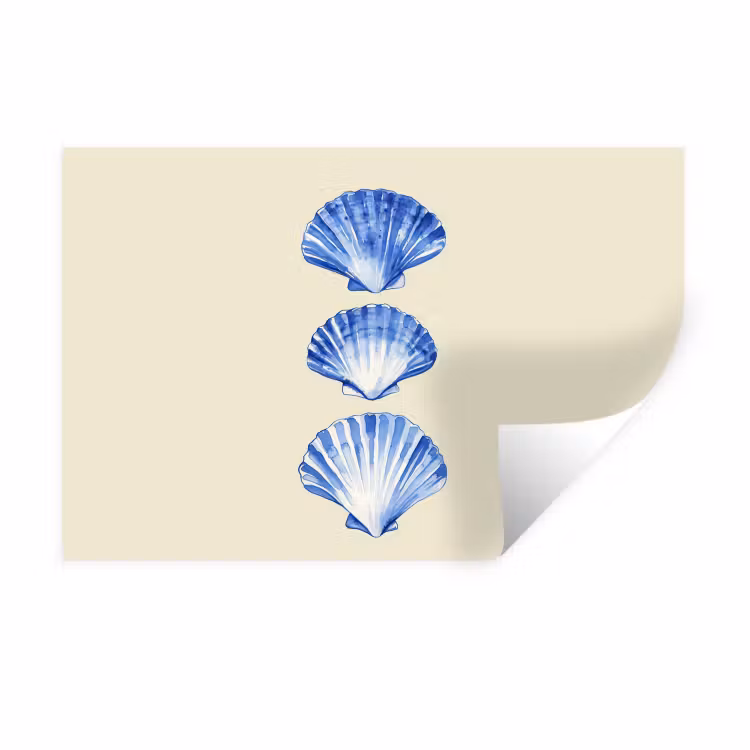 Muursticker - Schelpen - Blauw - Beige — 1