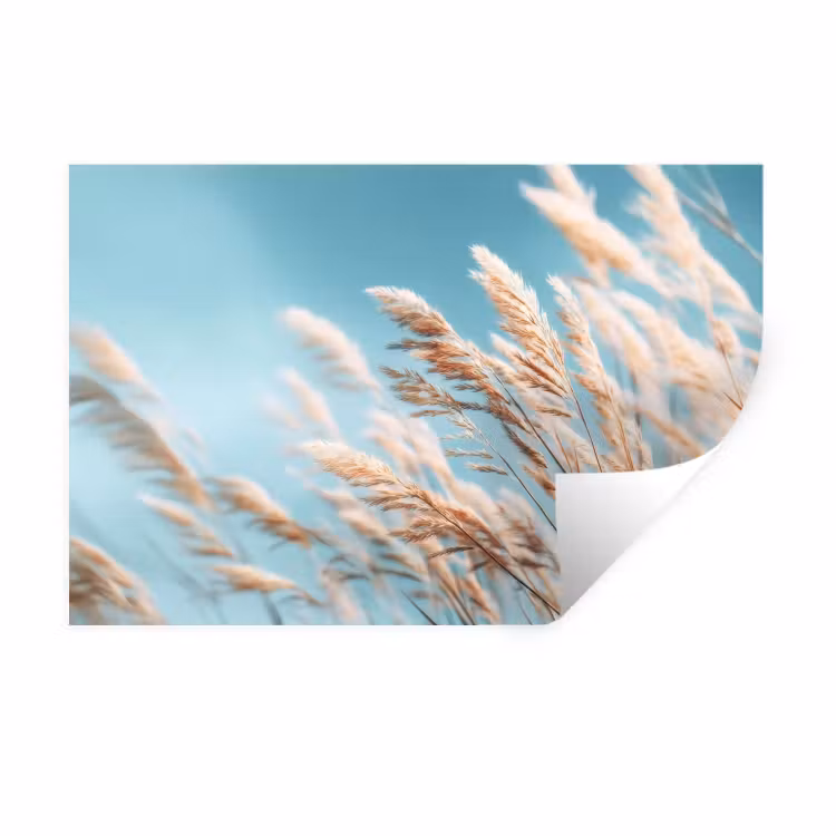 Muursticker - Siergras - Wind - Lichtbruin — 1