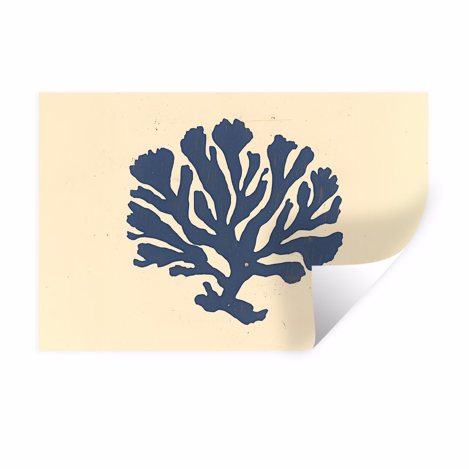 Muursticker - Blauw koraal - Vertakkingen - Beige — 1