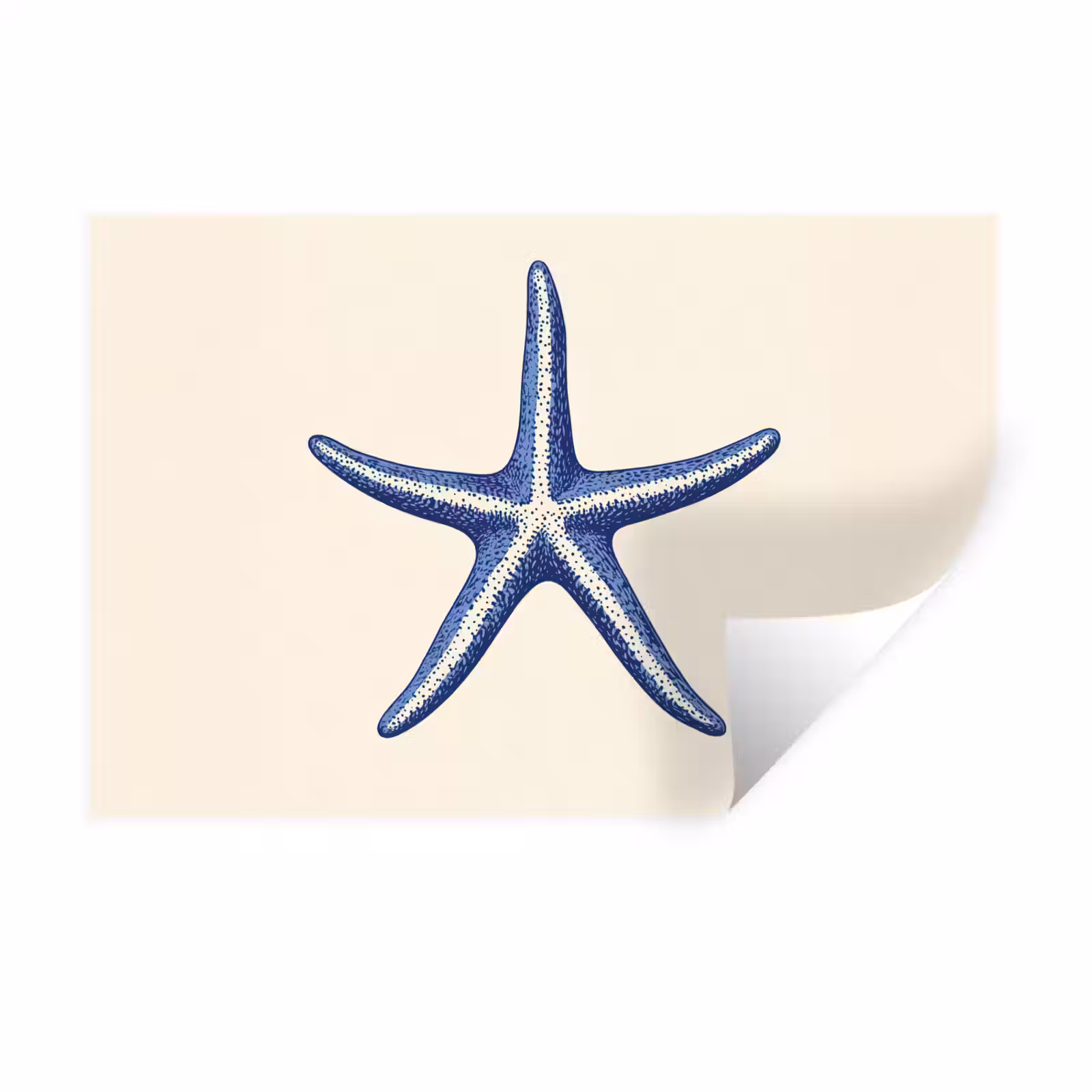 Muursticker - Blauwe zeester - Minimalistisch - Beige — 1
