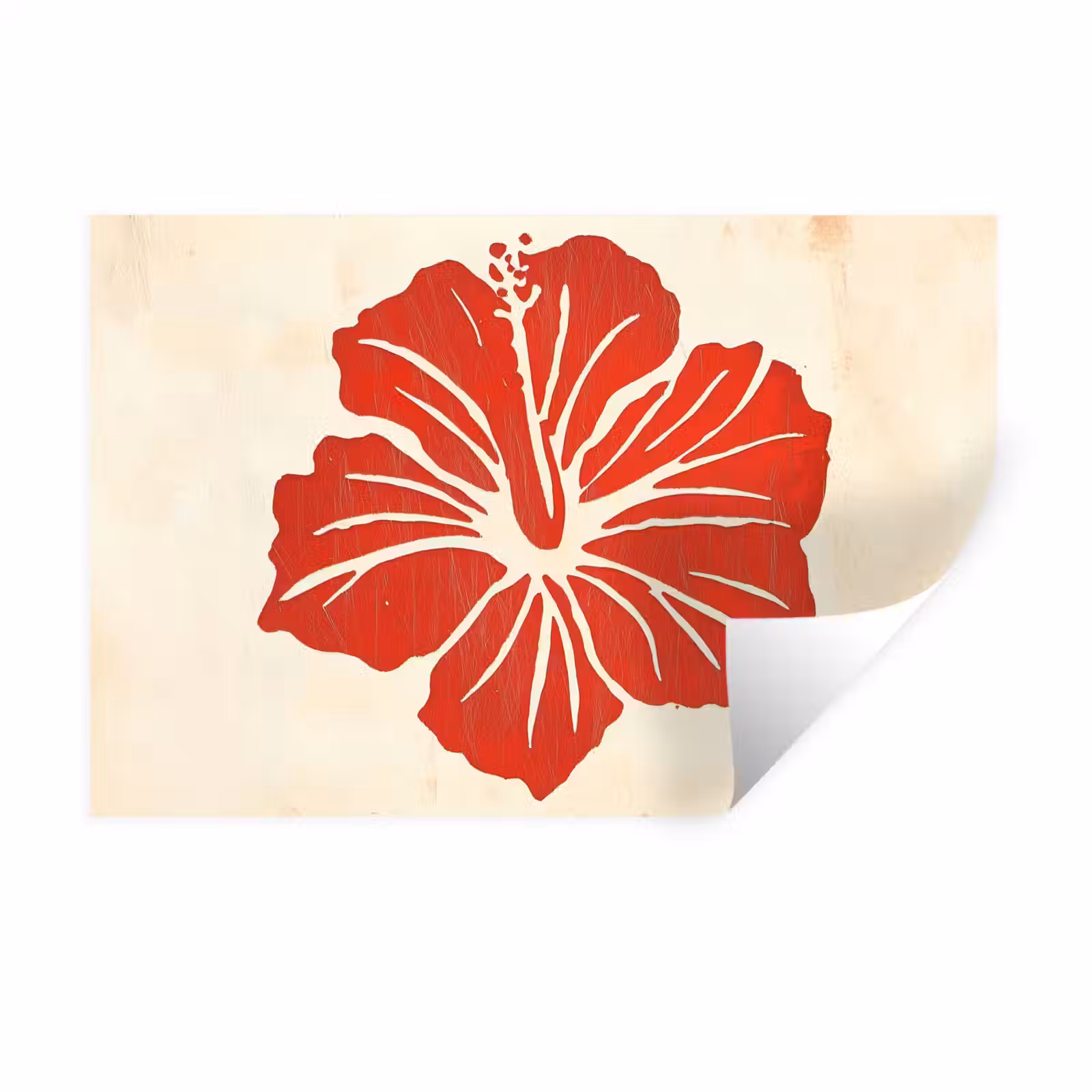 Muursticker - Rode hibiscusbloem - Textuur achtergrond - Beige — 1