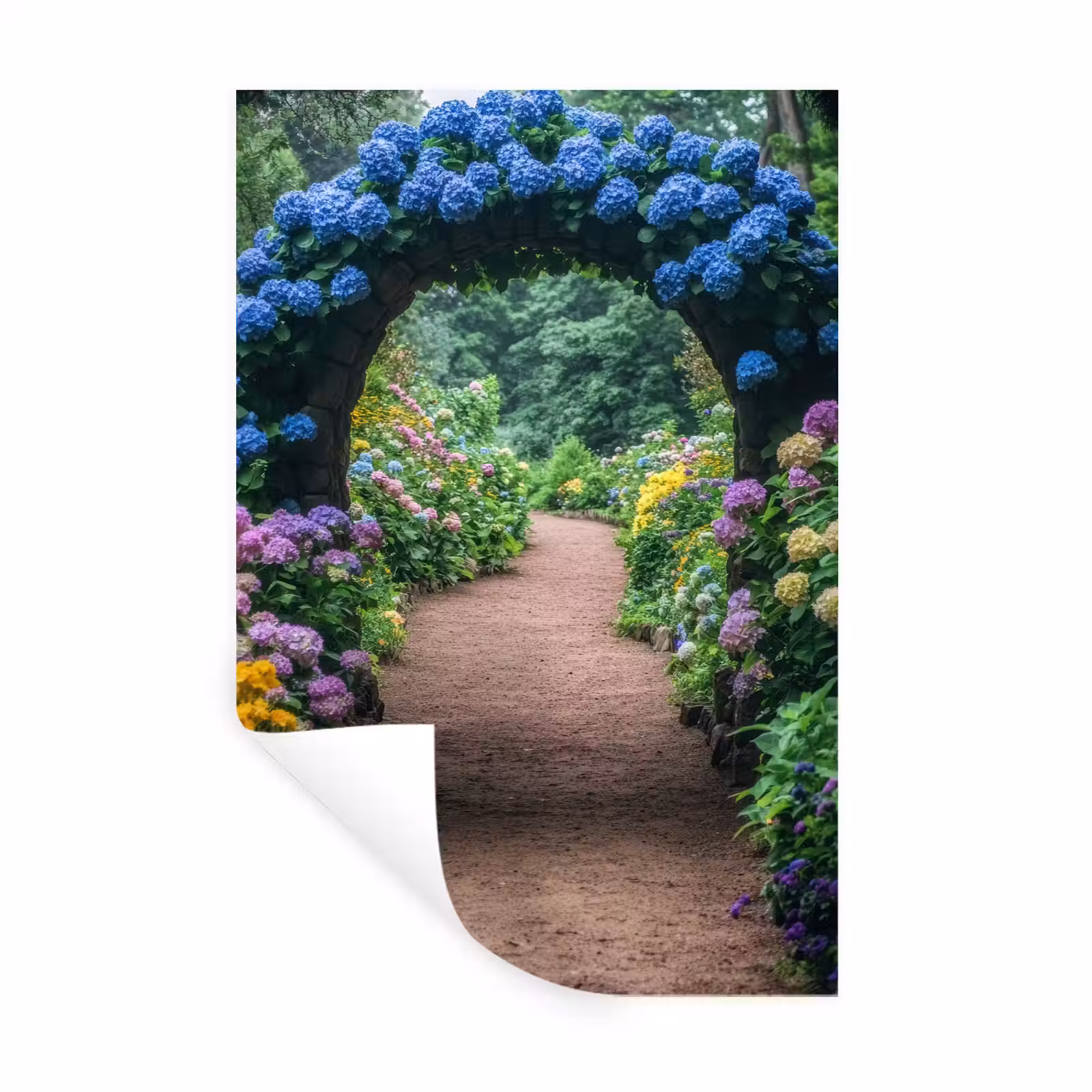 Muursticker - Doorkijk - Bloemen - Hortensia - Pad — 1