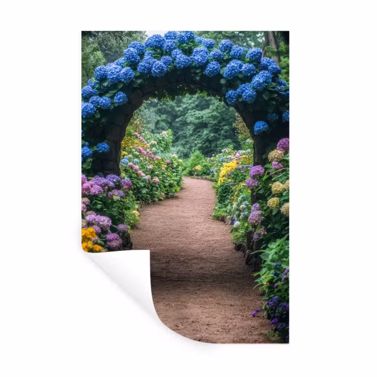 Muursticker - Doorkijk - Bloemen - Hortensia - Pad — 1