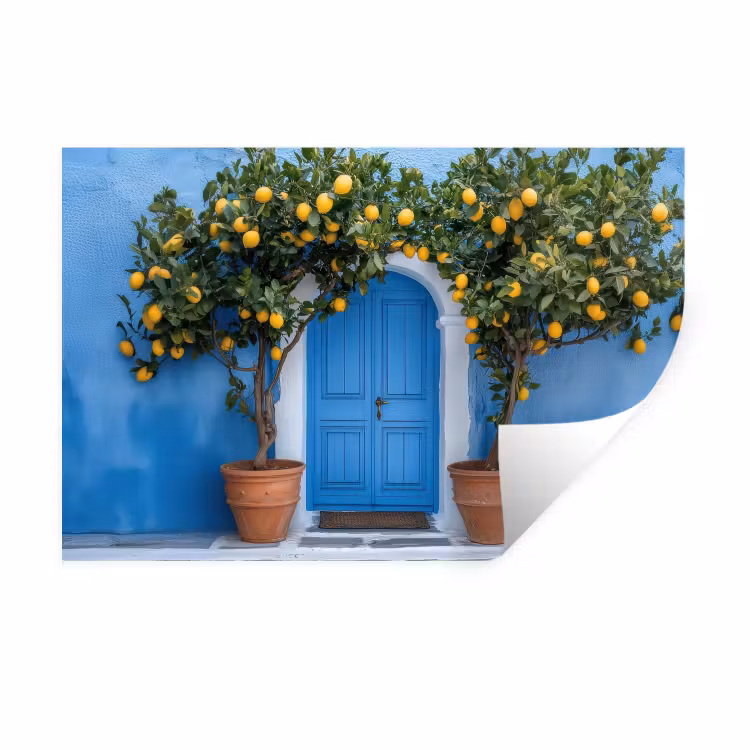 Muursticker - Citroenbomen - Geel - Deur - Potten — 1